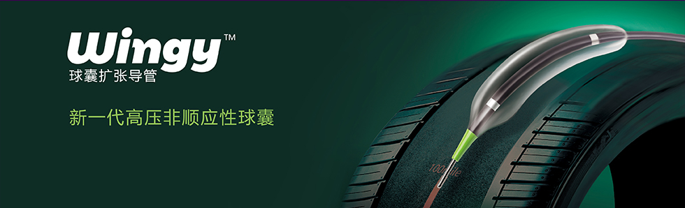 Wingy?球囊扩张导管(图1)