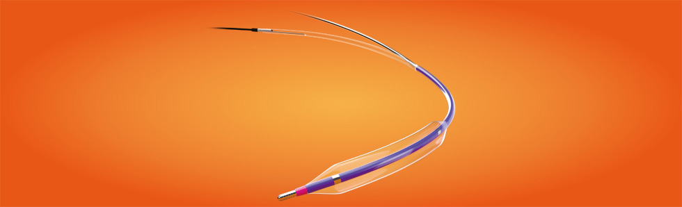 胜蚝?Vwin?颅内球囊扩张导管(图1)