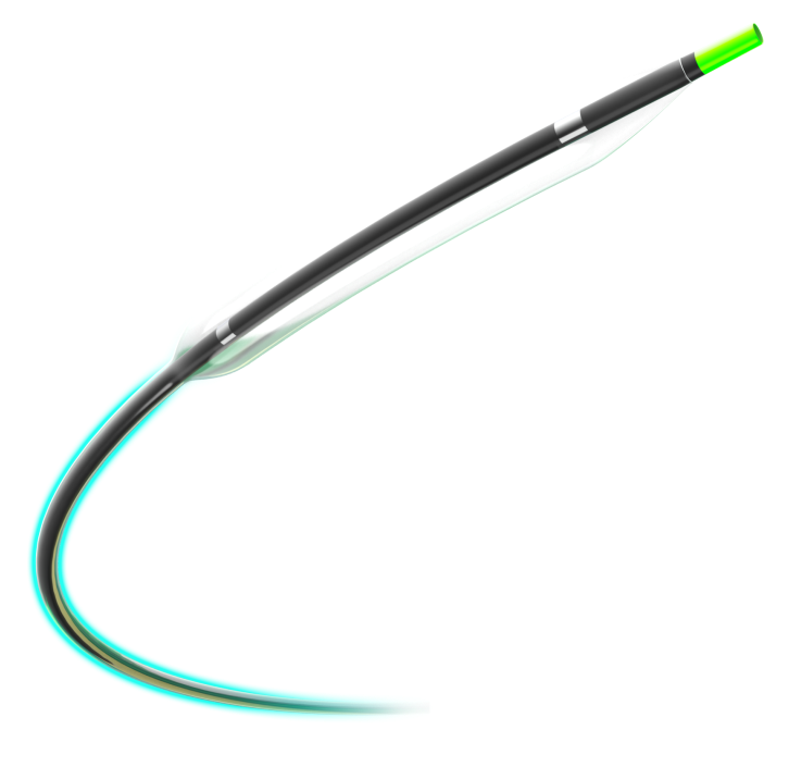 博荷? Bhmintbh 肺动脉球囊扩张导管(图1)