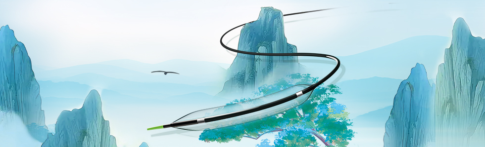 禄游?Luvjour 外周球囊扩张导管(图1)