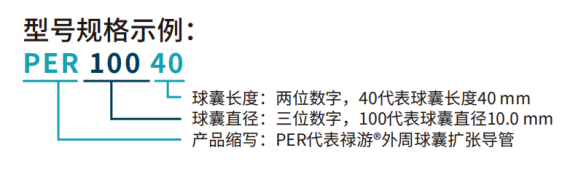 禄游?Luvjour 外周球囊扩张导管(图5)